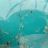 Image de Turquoise